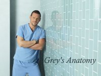 Grey's Anatomy Wallpaper Alex