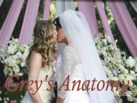 Grey's Anatomy Wallpaper Arizona & Callie