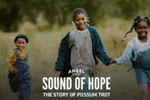 additional "Sound of Hope: The Story of Possum Trot" key art