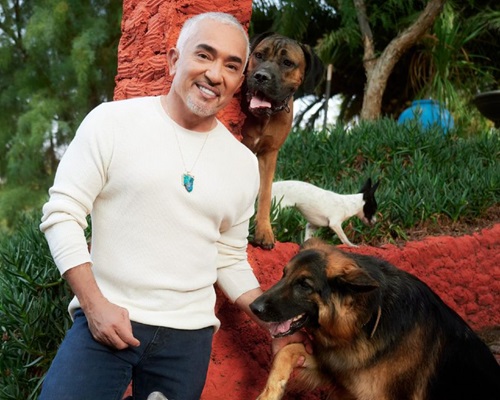 César Millán of "Cesar Millan: Better Human Better Dog" on Nat Geo Wild