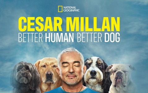 Cesar Millan: Better Human, Better Dog key art